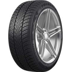WinterX TW401 Triangle 205/55R19